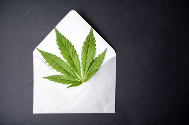 Is It Illegal To Ship Weed?