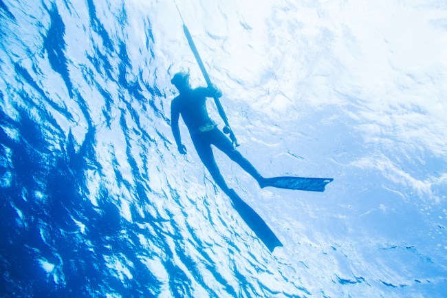 spearfishing