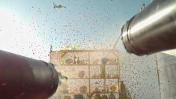 Dudes Take A Paintball Shotgun To Breakable Glass And Film It In Slow-Mo HD Using A 4K Camera