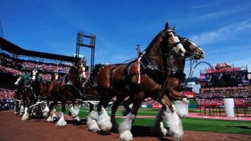 Sports Finance Report: Anheuser Busch Brings “Performance Based Model” To Sports Sponsorships