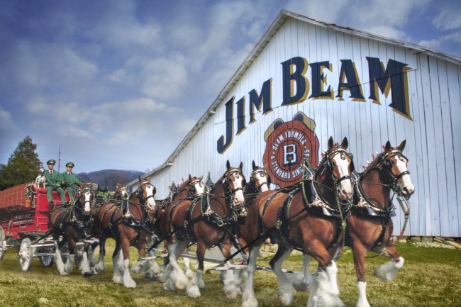 jim beam budweiser barrel aged beer