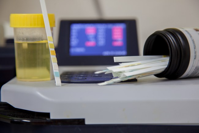 how to beat a drug test
