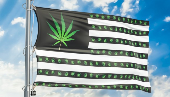 Which Tech Company Employees Cannabis Most