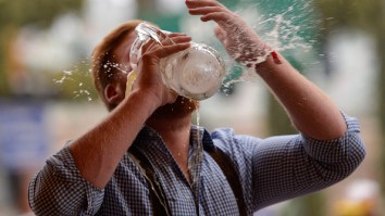 Liver Quivers: Your Excessive Apocalypse Drinking Might Bend You Over Later