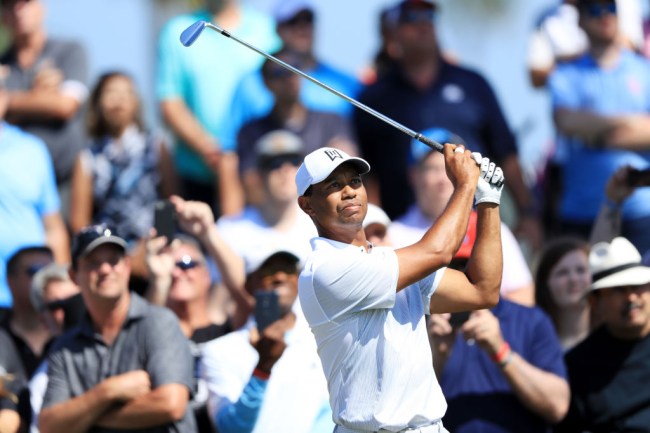 Tiger Woods