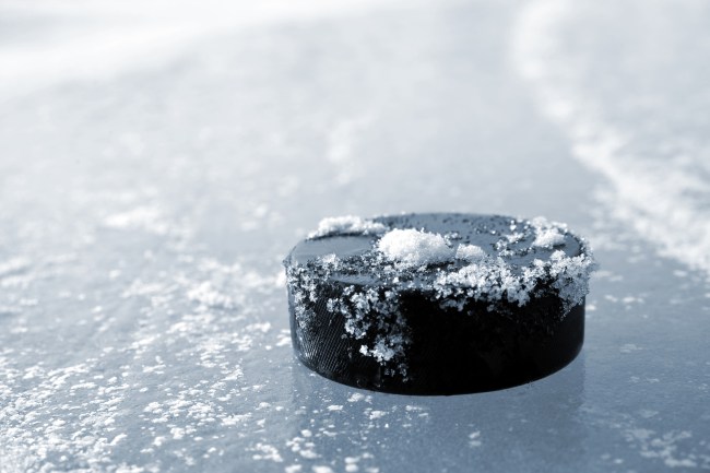 hockey puck