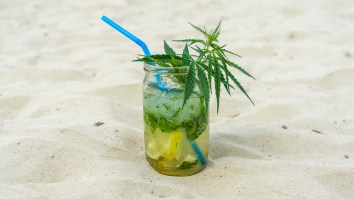 Canadians Predicted to Buy More Weed Than Alcohol By 2020