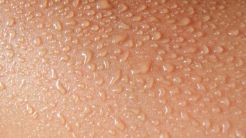 Here’s Why Some People Can’t Stand Hearing The Word ‘Moist’