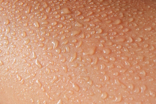 moist