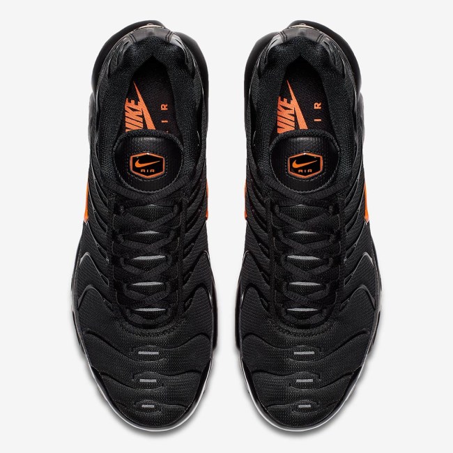 Nike Air Max Plus VLONE