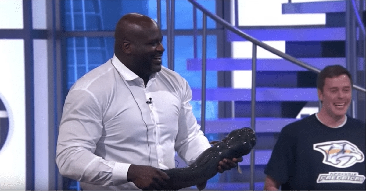shaq catfish charles barkley video
