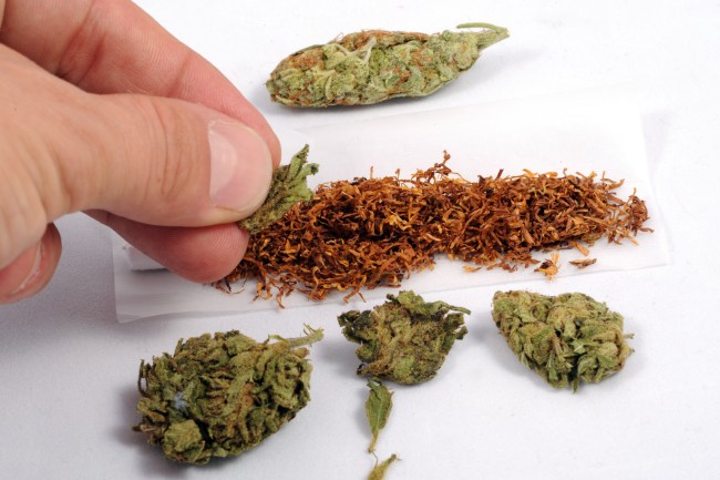 drug testing for marijuana