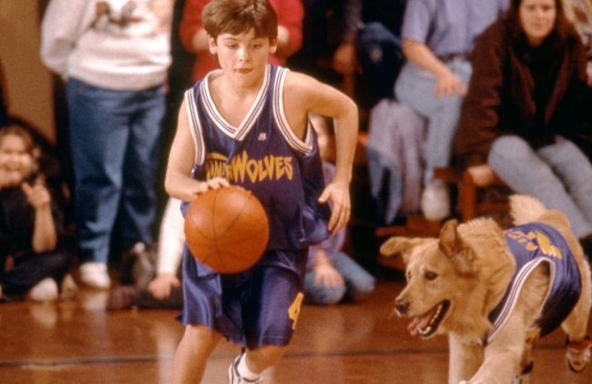air bud basketball movie
