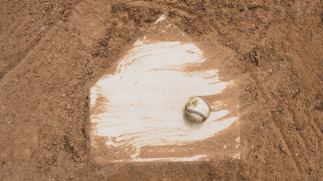 Florida Auburn College World Series