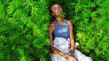 Marijuana Becoming Increasingly More Popular In Physical Fitness