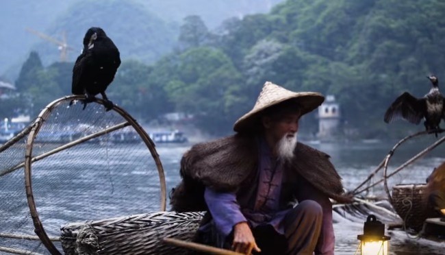 using birds to fish