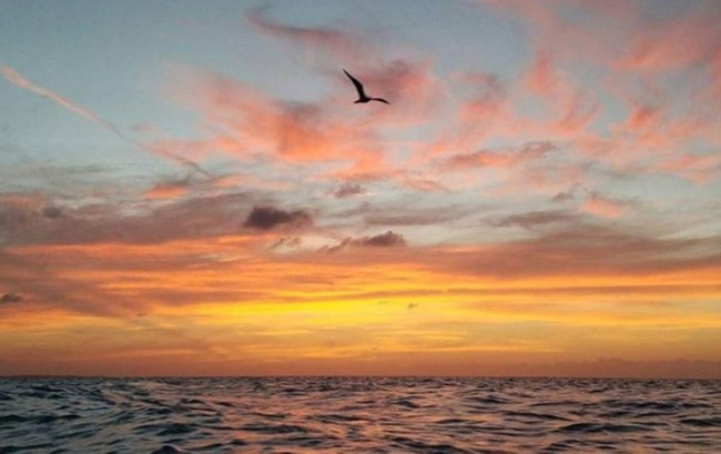 instagram_vacation_photos