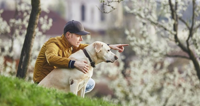 Pet Owners Vacation Social Events Study
