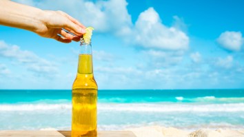 There’s A Horrifying Reason Why You Might Not Want To Put A Lime Into Your Beer This Summer
