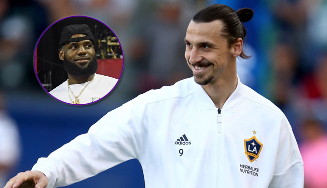 Zlatan Ibrahimovic LeBron James Small Ninjas