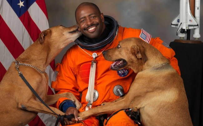 astronaut_dogs