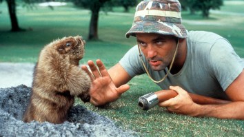 This Never-Before-Told Story About An Airport Encounter With Bill Murray Proves He’s An Absolute Legend