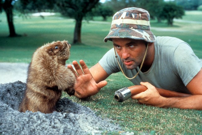 bill murray stories airport headlock