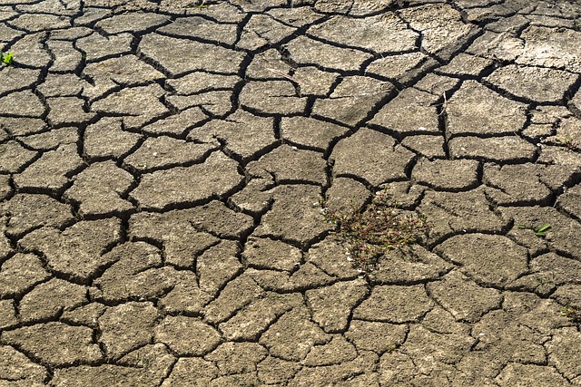 drought