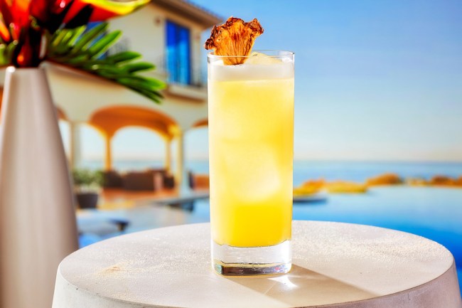 Cocktail Recipes National Rum Day