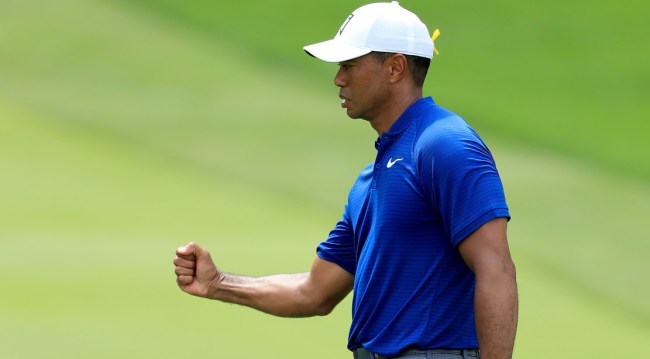 Tiger Phil Thanksgiving Day Match Tweet