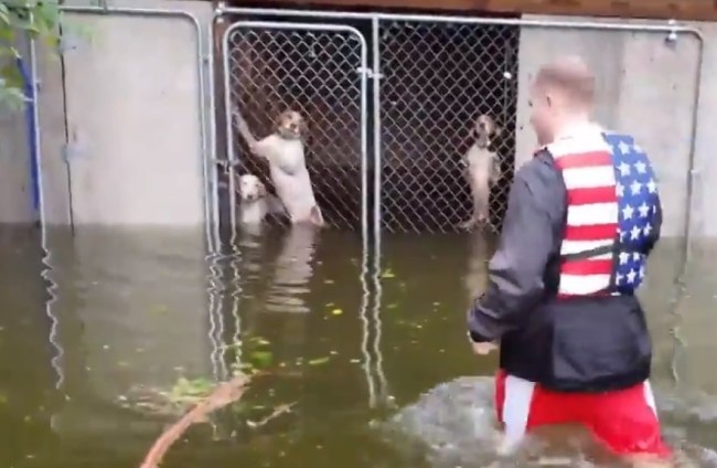 animal_rescue_hurricane_florence