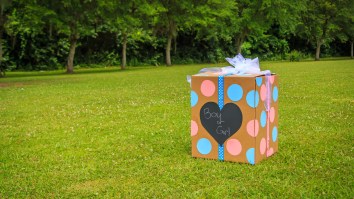 Everybody Stop Having Babies Because This Is The Greatest Gender Reveal Video Of All-Time