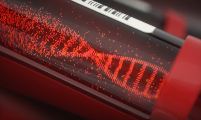 Does Drinking Blood Make You Live Longer?