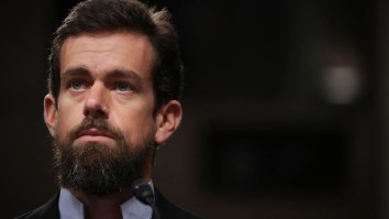 Twitter CEO Jack Dorsey’s Bountiful Beard At His Senate Hearing Is Now A Magnificent Meme