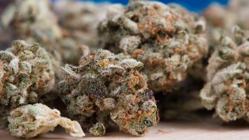 Want To Get Paid To Smoke Weed? One Company Wants To Make Your Dreams Come True