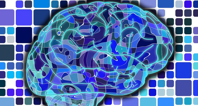 Scientists Discovered Secrets Retaining New Skill