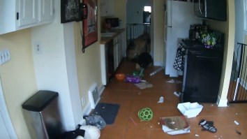 Camera Captures A Dog Nearly Burning His Owners House Down In A Reminder To Clean Ya Dang Kitchen Up