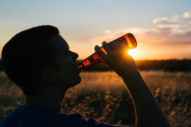 does beer help you recover after working out