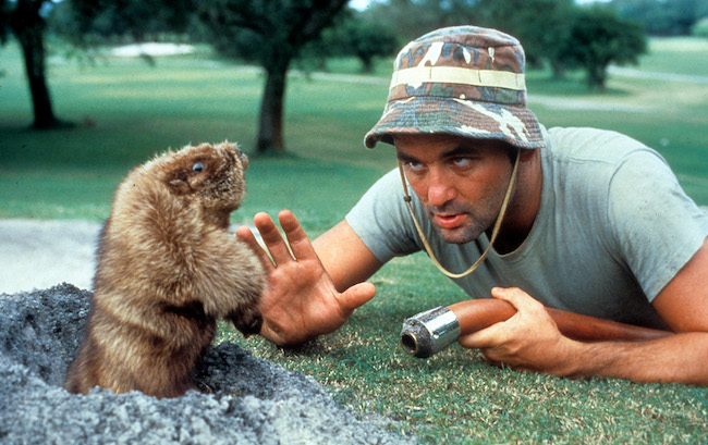 caddyshack fest 2019