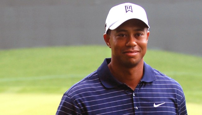 I Made Tiger Great Again Shirt