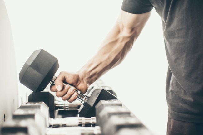 fitness