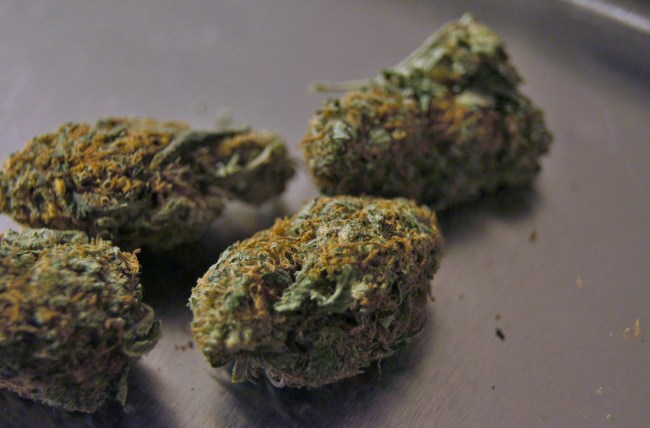 canada running out of weed