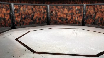 Why Is The UFC Cage An Octagon? Its Origin Story Is Wilder Than You’d Think