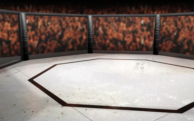 why is the ufc cage an octagon