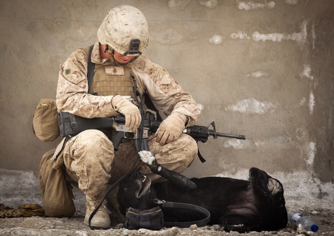 Energy Drinks Linked to PTSD