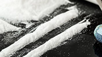 Dozens Of Bricks Of Pure Cocaine Keep Washing Up On Beaches In Fiji, Police Advise ‘Not Opening’ Them