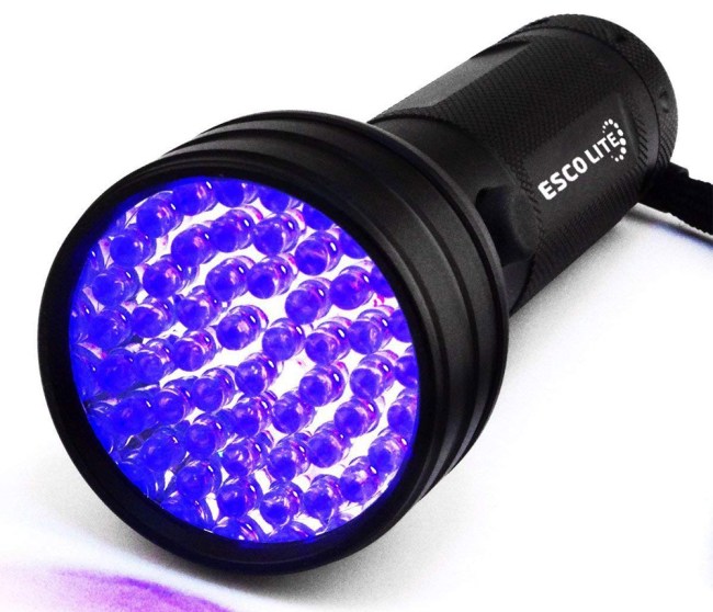 Best Flashlights