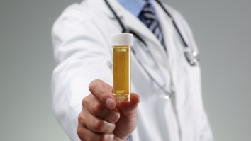 Actual Scientists Weigh In On The Most Popular Excuses People Give When They Fail Workplace Drug Tests