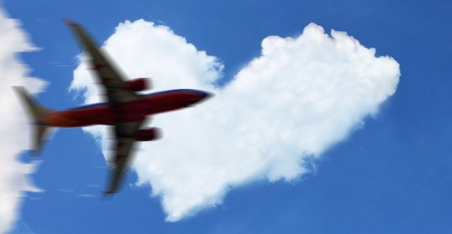 Human Heart Was Accidentally Left Onboard A Southwest Flight