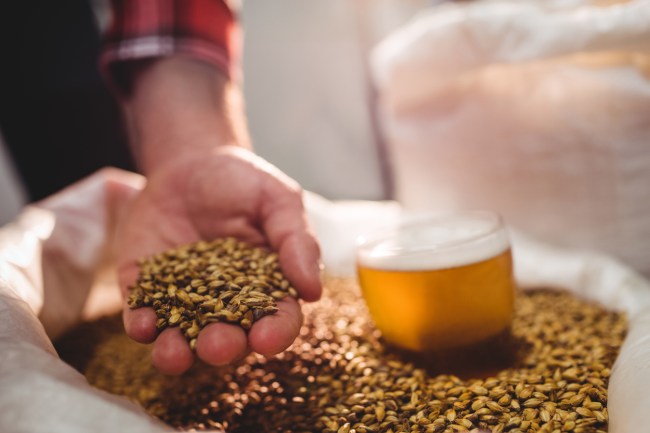 why should i homebrew beer